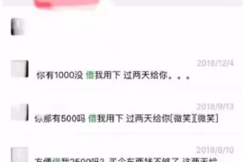 株洲株洲的要账公司在催收过程中的策略和技巧有哪些？